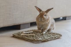 Beeztees Speelmat 30,5 X 30,5 X 8 Cm -Beeztees 8712695202479 6