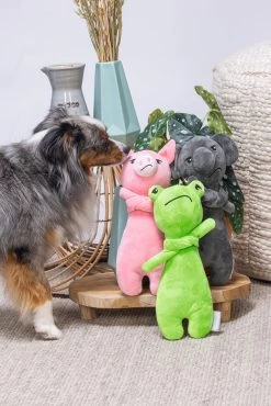 Beeztees Hondenpeelgoed Grumpy Froggy Groen 30 X 11,5 X 7,5 Cm -Beeztees 8712695202509 3