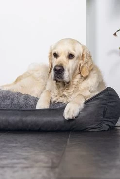 Beeztees Hondenmand Uma Antraciet 120 X 80 X 23 Cm -Beeztees 8712695203605 9