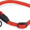 Beeztees Hondenhalsband Parinca Rood 50 X 1,2 Cm -Beeztees 8712695205784 0