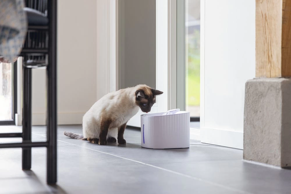 Beeztees Drinkfontein Sjors Wit 19,5 X 19,5 X 15 Cm 10 Beeztees Drinkfontein Sjors Wit 19,5 X 19,5 X 15 Cm - Afbeelding 8