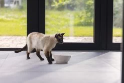 Beeztees Drinkfontein Jaap Wit D 21 H 9 Cm 18 Beeztees Drinkfontein Jaap Wit D 21 H 9 Cm -Beeztees 8712695207214 8