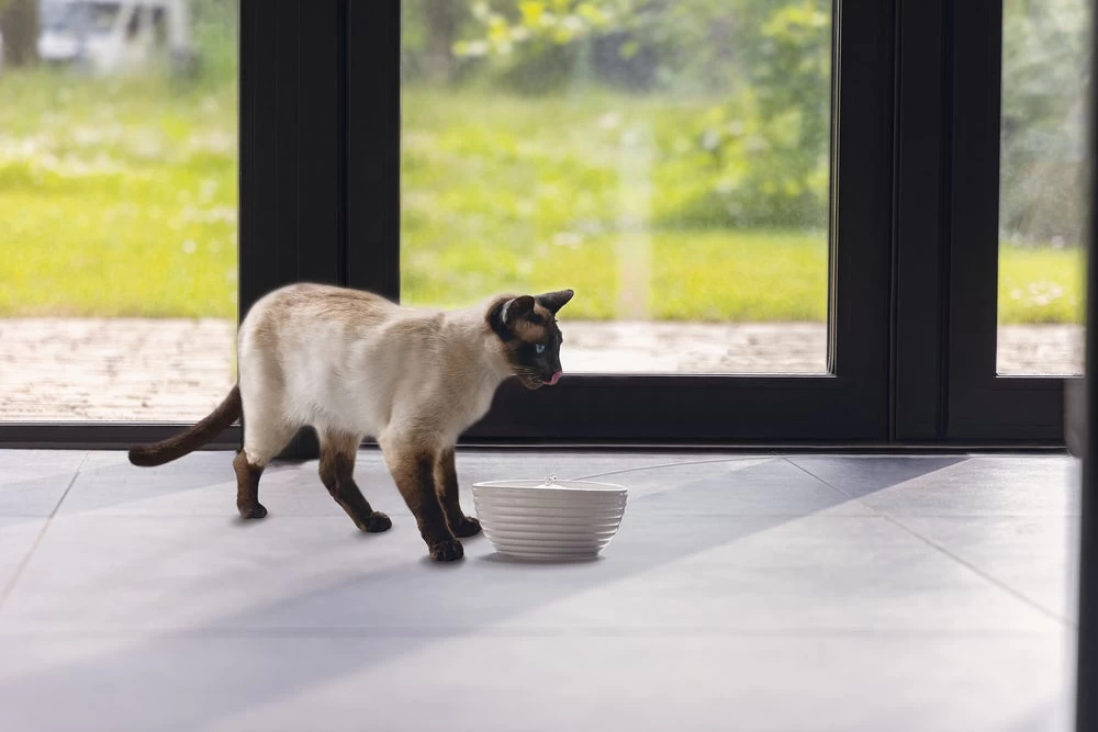 Beeztees Drinkfontein Jaap Wit D 21 H 9 Cm 10 Beeztees Drinkfontein Jaap Wit D 21 H 9 Cm - Afbeelding 8