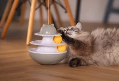 Beeztees Kattenspeelgoed Interactief Sapi D 19 H 48 Cm 24 Beeztees Kattenspeelgoed Interactief Sapi D 19 H 48 Cm -Beeztees 8712695209614 10