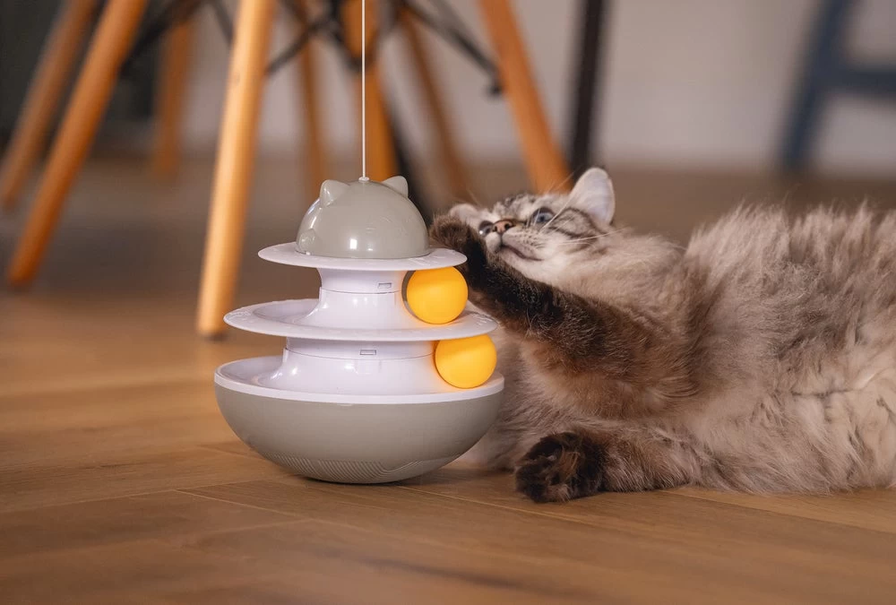 Beeztees Kattenspeelgoed Interactief Sapi D 19 H 48 Cm 12 Beeztees Kattenspeelgoed Interactief Sapi D 19 H 48 Cm - Afbeelding 10