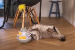 Beeztees Kattenspeelgoed Interactief Sapi D 19 H 48 Cm 25 Beeztees Kattenspeelgoed Interactief Sapi D 19 H 48 Cm -Beeztees 8712695209614 11