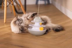 Beeztees Kattenspeelgoed Interactief Sapi D 19 H 48 Cm 26 Beeztees Kattenspeelgoed Interactief Sapi D 19 H 48 Cm -Beeztees 8712695209614 12