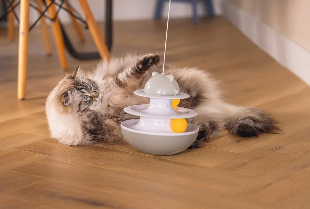 Beeztees Kattenspeelgoed Interactief Sapi D 19 H 48 Cm 14 Beeztees Kattenspeelgoed Interactief Sapi D 19 H 48 Cm - Afbeelding 12