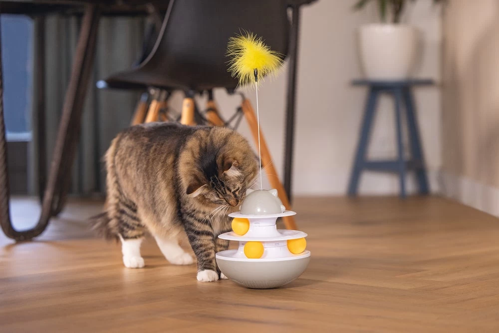 Beeztees Kattenspeelgoed Interactief Sapi D 19 H 48 Cm 11 Beeztees Kattenspeelgoed Interactief Sapi D 19 H 48 Cm - Afbeelding 9