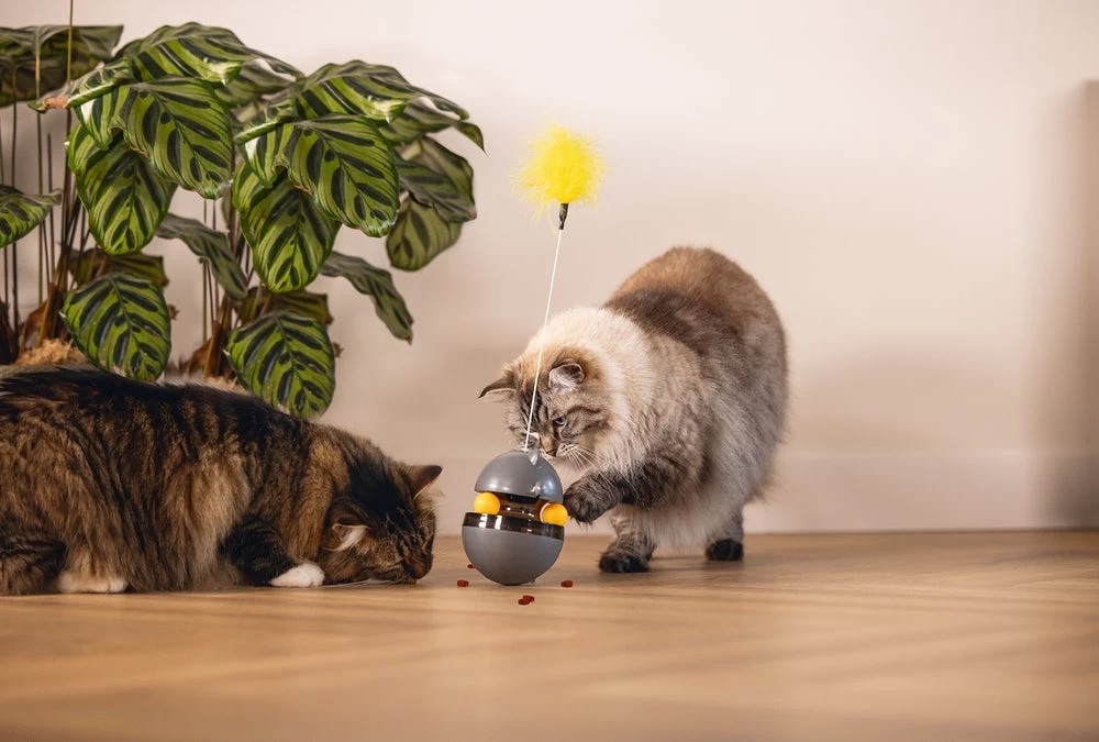 Beeztees Kattenspeelgoed Interactief Wibol D 10 H 42 Cm 14 Beeztees Kattenspeelgoed Interactief Wibol D 10 H 42 Cm - Afbeelding 12