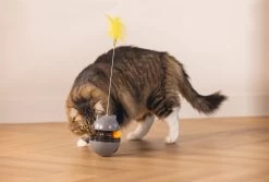 Beeztees Kattenspeelgoed Interactief Wibol D 10 H 42 Cm 32 Beeztees Kattenspeelgoed Interactief Wibol D 10 H 42 Cm -Beeztees 8712695209621 13