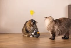 Beeztees Kattenspeelgoed Interactief Wibol D 10 H 42 Cm 34 Beeztees Kattenspeelgoed Interactief Wibol D 10 H 42 Cm -Beeztees 8712695209621 15