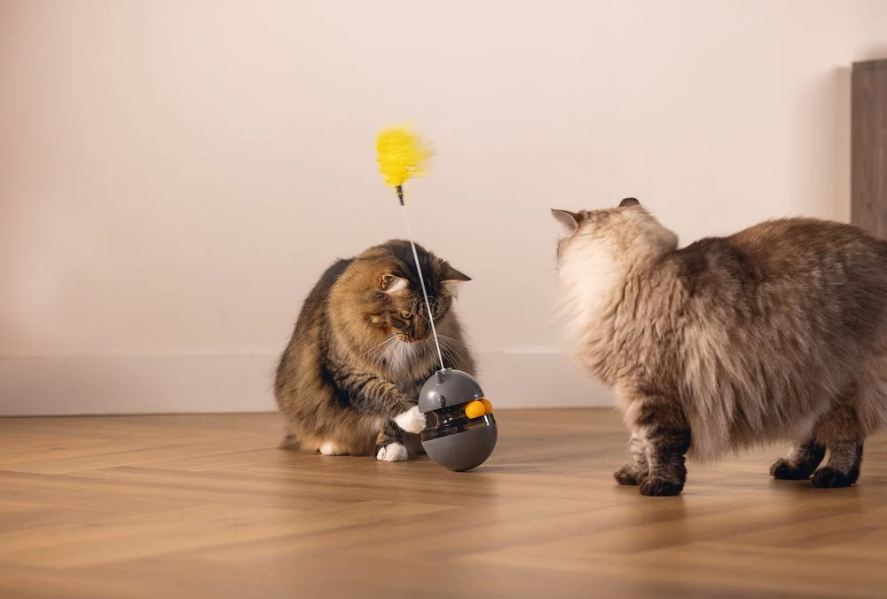 Beeztees Kattenspeelgoed Interactief Wibol D 10 H 42 Cm 17 Beeztees Kattenspeelgoed Interactief Wibol D 10 H 42 Cm - Afbeelding 15