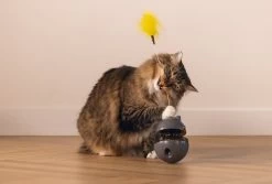 Beeztees Kattenspeelgoed Interactief Wibol D 10 H 42 Cm 35 Beeztees Kattenspeelgoed Interactief Wibol D 10 H 42 Cm -Beeztees 8712695209621 16