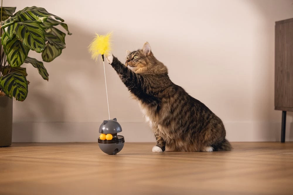 Beeztees Kattenspeelgoed Interactief Wibol D 10 H 42 Cm 20 Beeztees Kattenspeelgoed Interactief Wibol D 10 H 42 Cm - Afbeelding 18