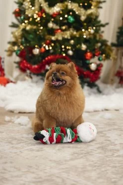 Beeztees Hondenknuffel Snuffel Kerstman 27 X 9 X 8 Cm 8 Beeztees Hondenknuffel Snuffel Kerstman 27 X 9 X 8 Cm -Beeztees 8712695209676 2