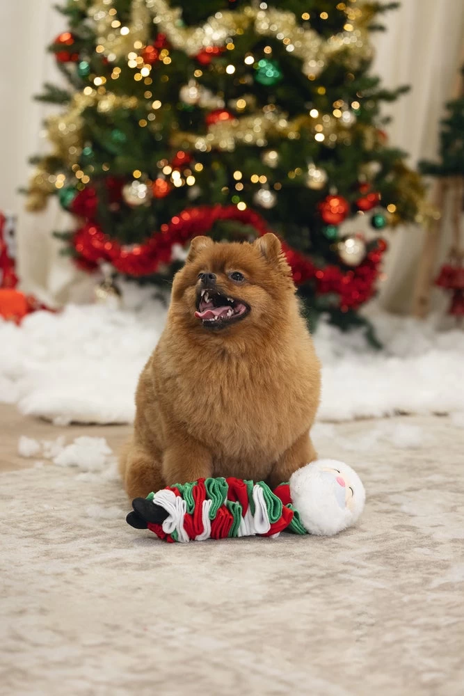 Beeztees Hondenknuffel Snuffel Kerstman 27 X 9 X 8 Cm 5 Beeztees Hondenknuffel Snuffel Kerstman 27 X 9 X 8 Cm - Afbeelding 3