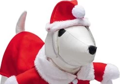 Beeztees Hondentrui Kerstman Rood / Wit 28 Cm -Beeztees 8712695209713 3