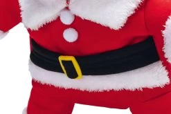 Beeztees Hondentrui Kerstman Rood / Wit 28 Cm -Beeztees 8712695209713 4