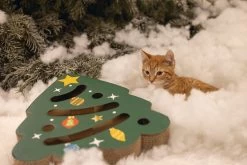 Beeztees Krabkarton Kerstboom Groen 42 X 40 X 4,5 Cm 18 Beeztees Krabkarton Kerstboom Groen 42 X 40 X 4,5 Cm -Beeztees 8712695209751 7