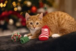 Beeztees Kattenspeeltje Kerstfun Divers 3 Stuks -Beeztees 8712695209782 4