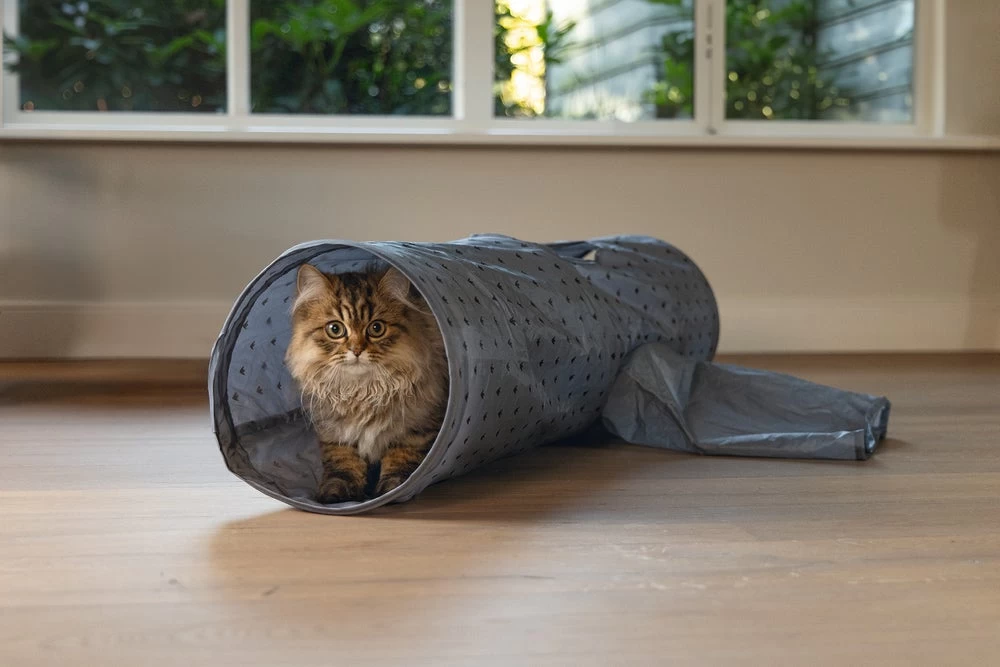 Beeztees Kattentunnel Ivy 100 X 25 X 25 Cm 9 Beeztees Kattentunnel Ivy 100 X 25 X 25 Cm - Afbeelding 7