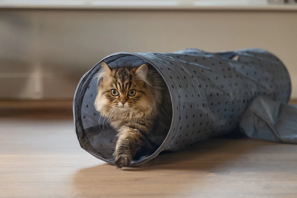 Beeztees Kattentunnel Ivy 100 X 25 X 25 Cm 10 Beeztees Kattentunnel Ivy 100 X 25 X 25 Cm - Afbeelding 8