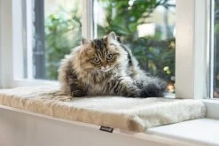 Beeztees Kattenkussen Moza Beige 65 X 27 X 3 Cm -Beeztees 8712695214434 6