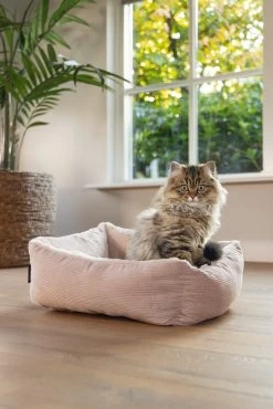 Beeztees Kattenmand Moza Roze 48 X 37 X 15 Cm -Beeztees 8712695214502 7