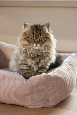 Beeztees Kattenmand Moza Roze 48 X 37 X 15 Cm -Beeztees 8712695214502 9