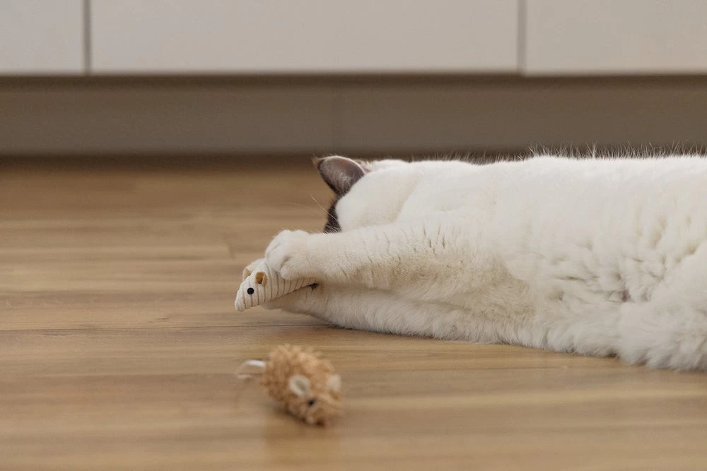 Beeztees Kattenspeelgoed Muis Seerp 7 X 3,5 X 3,5 Cm 2 Stuks 7 Beeztees Kattenspeelgoed Muis Seerp 7 X 3,5 X 3,5 Cm 2 Stuks - Afbeelding 5