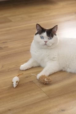 Beeztees Kattenspeelgoed Muis Seerp 7 X 3,5 X 3,5 Cm 2 Stuks 15 Beeztees Kattenspeelgoed Muis Seerp 7 X 3,5 X 3,5 Cm 2 Stuks -Beeztees 8712695215288 6