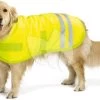 Beeztees Hondenjas Teddie Reflecterend L 50 Cm 2 Beeztees Hondenjas Teddie Reflecterend L 50 Cm -Beeztees hondenjas teddie reflecterend l 50 cm 8712695119982 2 0 1526x1079