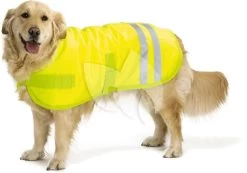 Beeztees Hondenjas Teddie Reflecterend S 40 Cm