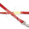 Beeztees Hondenriem Uni 120cm X 20mm Rood -Beeztees hondenriem uni 120cm x 20mm rood 8712695159179 1 0 1881x802