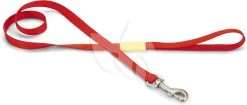 Beeztees Hondenriem Uni 120cm X 20mm Rood