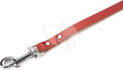 Beeztees Hondenriem Van Leer 100cm X 12mm Rood -Beeztees hondenriem van leer 100cm x 12mm rood 8712695052401 2 0 1784x1019