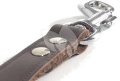 Beeztees Hondenriem Van Leer 100cm X 16mm Bruin -Beeztees hondenriem van leer 100cm x 16mm bruin 8712695052562 3 0 1685x1140