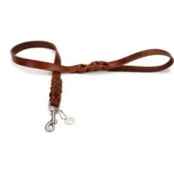 Beeztees Hondenriem Van Leer 100cm X 22mm Bruin