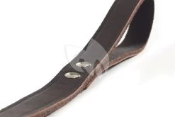 Beeztees Hondenriem Van Leer 130cm X 16mm Bruin -Beeztees hondenriem van leer 130cm x 16mm bruin 8712695052784 2 0 2000x1333