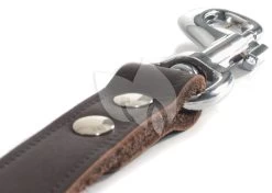 Beeztees Hondenriem Van Leer 200cm X 16mm Bruin -Beeztees hondenriem van leer 200cm x 16mm bruin 8712695052845 3 0 1664x1187