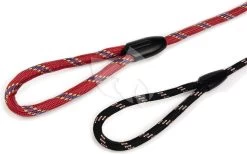 Beeztees Hondenriem Van Rond Nylon 125cm X 13mm Zwart -Beeztees hondenriem van rond nylon 125cm x 13mm zwart 8712695043218 2 0 1890x1180