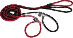 Beeztees Hondenriem Van Rond Nylon Sliplijn 170cm X 8mm Zwart 9 Beeztees Hondenriem Van Rond Nylon Sliplijn 170cm X 8mm Zwart -Beeztees hondenriem van rond nylon sliplijn 170cm x 8mm zwart 8712695043409 4 0 1534x811