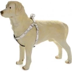 Beeztees Hondentuig Envy 35-60cm Wit