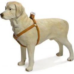 Beeztees Hondentuig Mac Leather 41-59cm Bruin -Beeztees hondentuig mac leather 41 59cm bruin 8712695086673 1 0 300x300 1