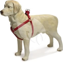 Beeztees Hondentuig Mac Leather 50-75cm Rood