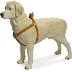 Beeztees Hondentuig Mac Leather 66-100cm Bruin 7 Beeztees Hondentuig Mac Leather 66-100cm Bruin -Beeztees hondentuig mac leather 66 100cm bruin 8712695086697 1 0 300x300 1