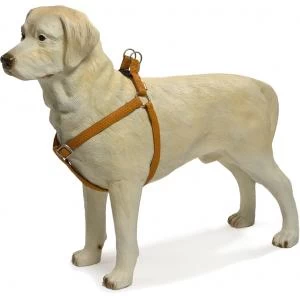 Beeztees Hondentuig Mac Leather 66-100cm Bruin 4 Beeztees Hondentuig Mac Leather 66-100cm Bruin - Afbeelding 2