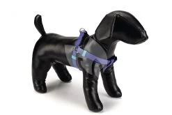 Beeztees Hondentuig Nylon 26-40cm Blauw