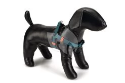 Beeztees Hondentuig Nylon 26-40cm Donkergroen